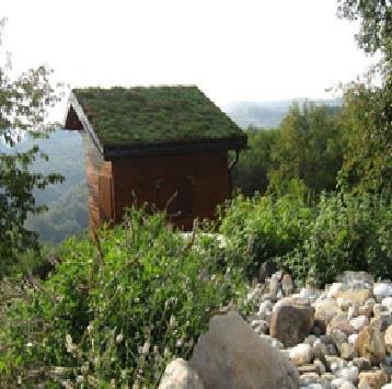 Slovenski čebelnjak z zeleno streho